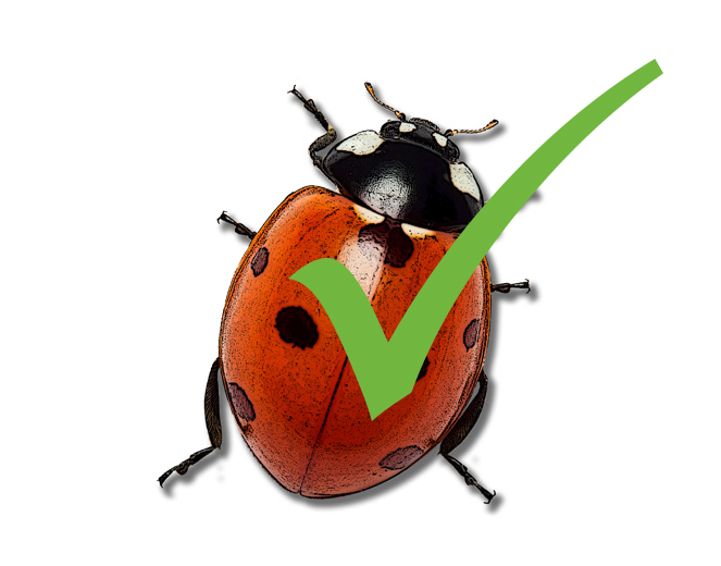 Good bug